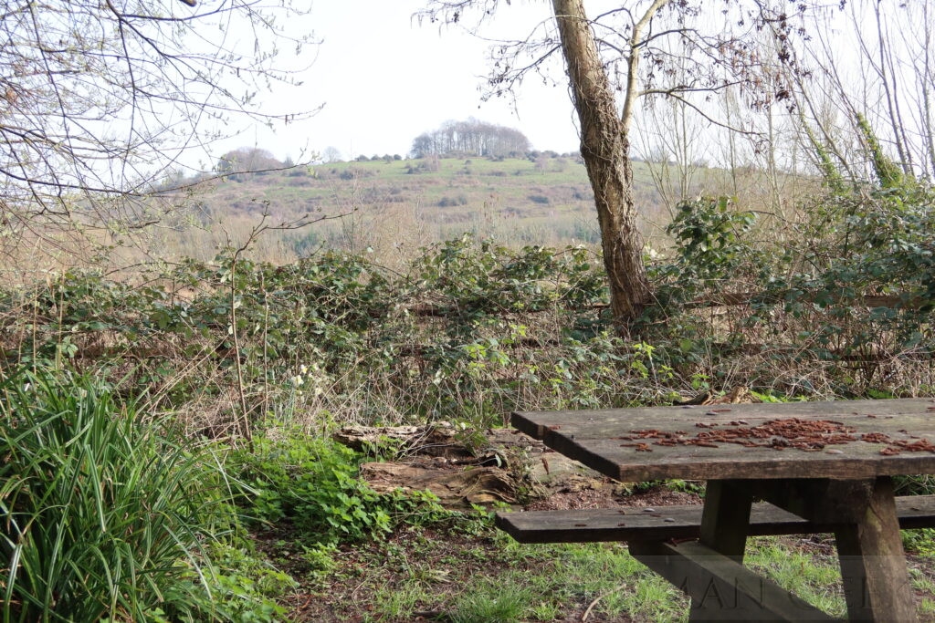 St. Catherine's Hill, Winchester