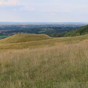 The Ridgeway, Berkshire Downs