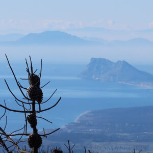 Gibraltar and Jebel Musa from Los Reales de Sierra Bermeja, Estepona