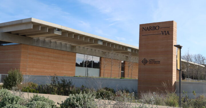 Narbo Via Museum, Narbonne