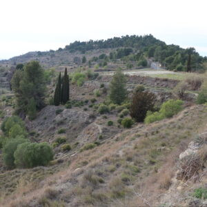 Oppidum d'Enserune, Beziers