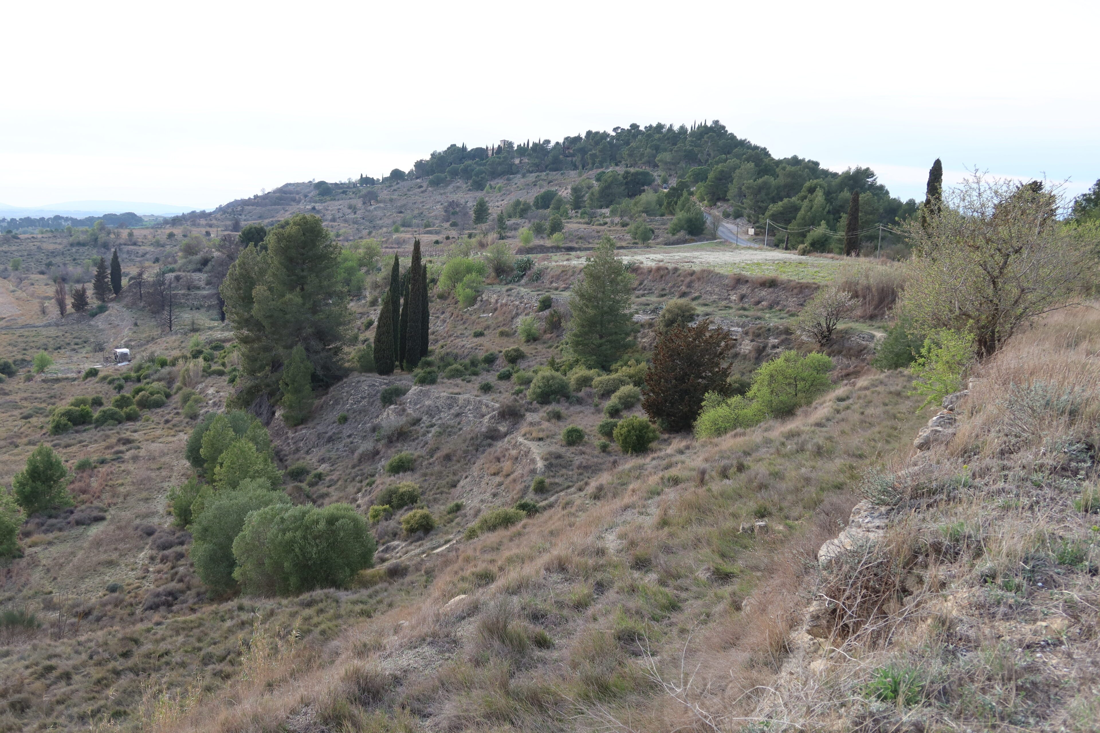 Oppidum d'Enserune, Beziers