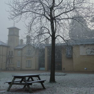 Chelmsford City Museum