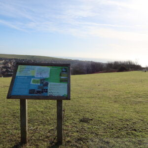 Whitehawk Camp, Brighton