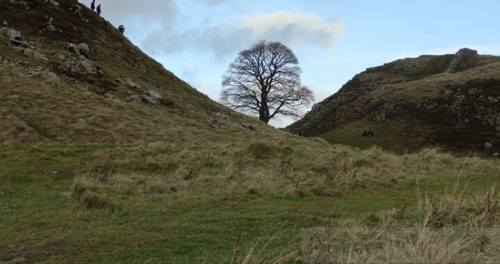 Sycamore Gap, Hadrian's Wall