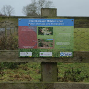 Thornborough Henges