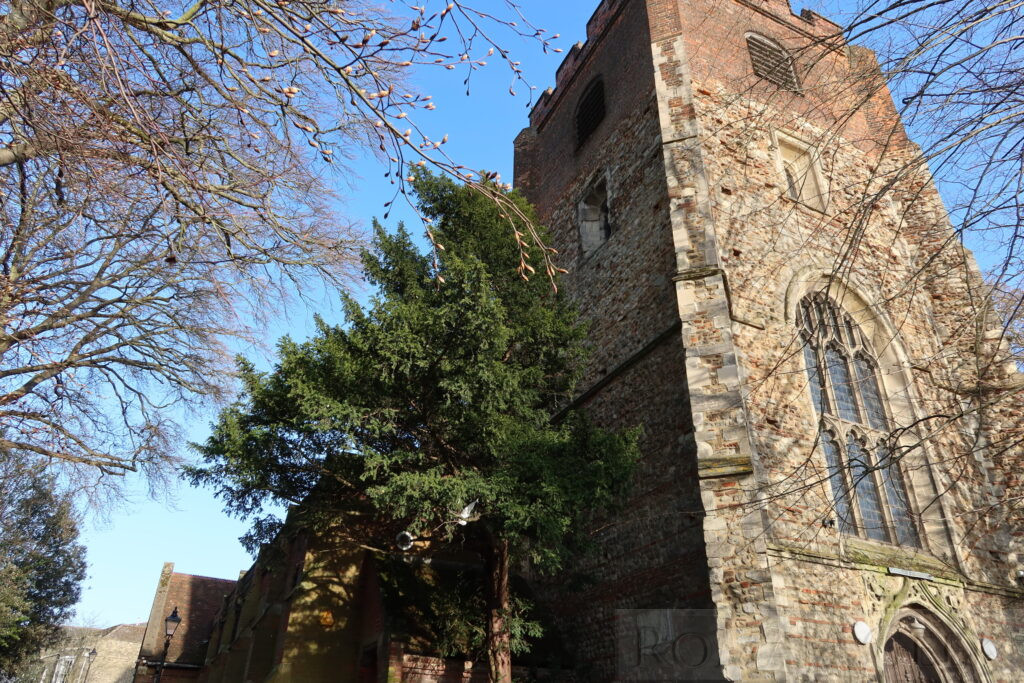 Colchester Arts Centre